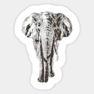 Elephant Sticker